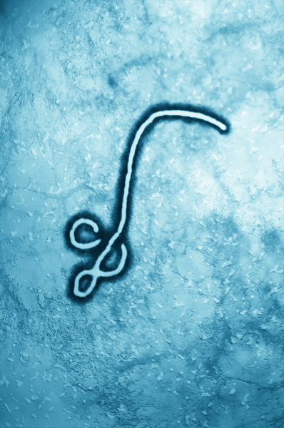 Ebola, Oms via libera al primo vaccino
